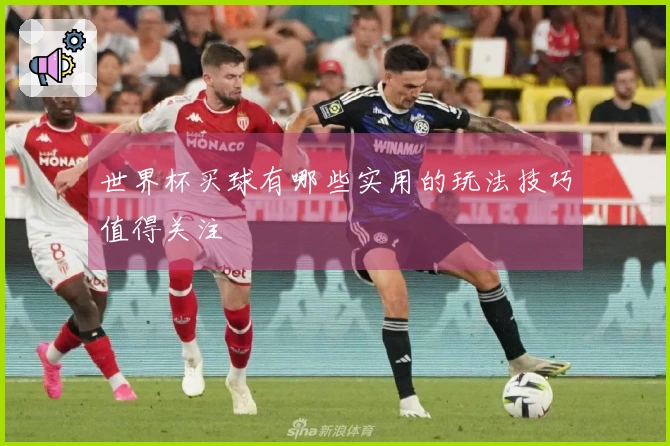 世界杯买球有哪些实用的玩法技巧值得关注