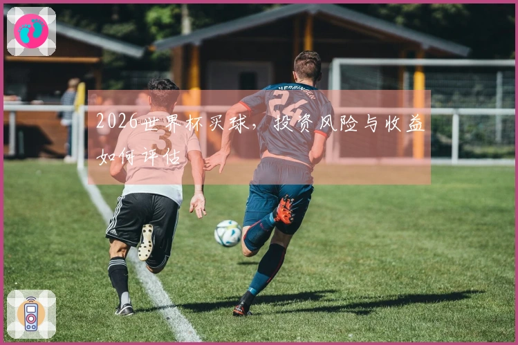 2026世界杯买球，投资风险与收益如何评估