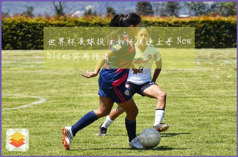 世界杯滚球投注如何快速上手 Newbie的实用指南