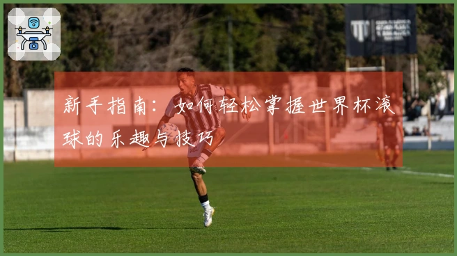 新手指南：如何轻松掌握世界杯滚球的乐趣与技巧