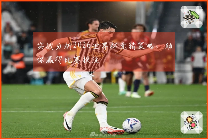 实战分析2026世界杯竞猜策略，助你赢得比赛投注