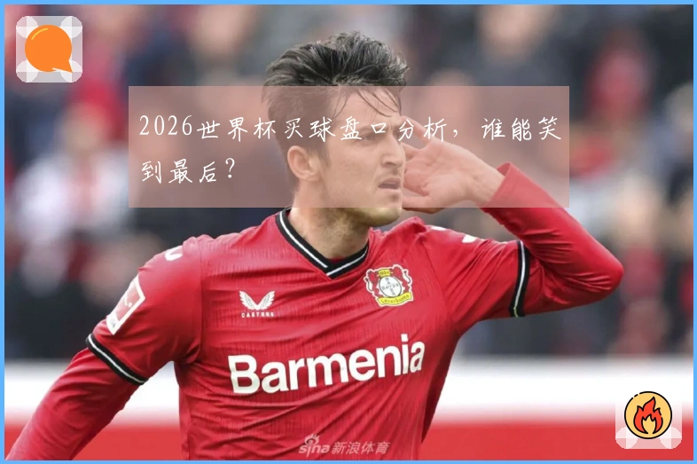 2026世界杯买球盘口分析，谁能笑到最后？