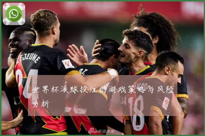 世界杯滚球投注的游戏策略与风险分析