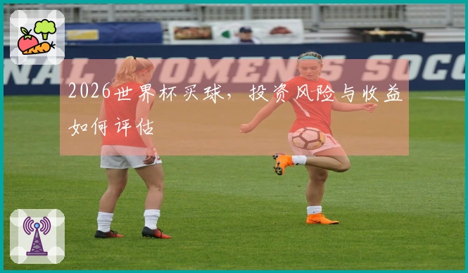 2026世界杯买球，投资风险与收益如何评估